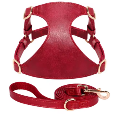 Harnais pour chien en cuir PU et Laisse