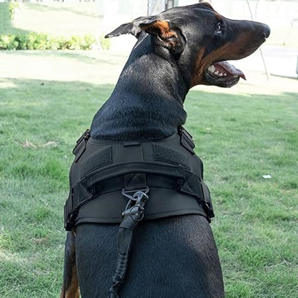 Gilet Tactique d'Entraînement pour Chiens