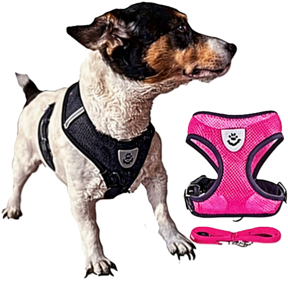 Harnais Réfléchissant pour Petits Chiens