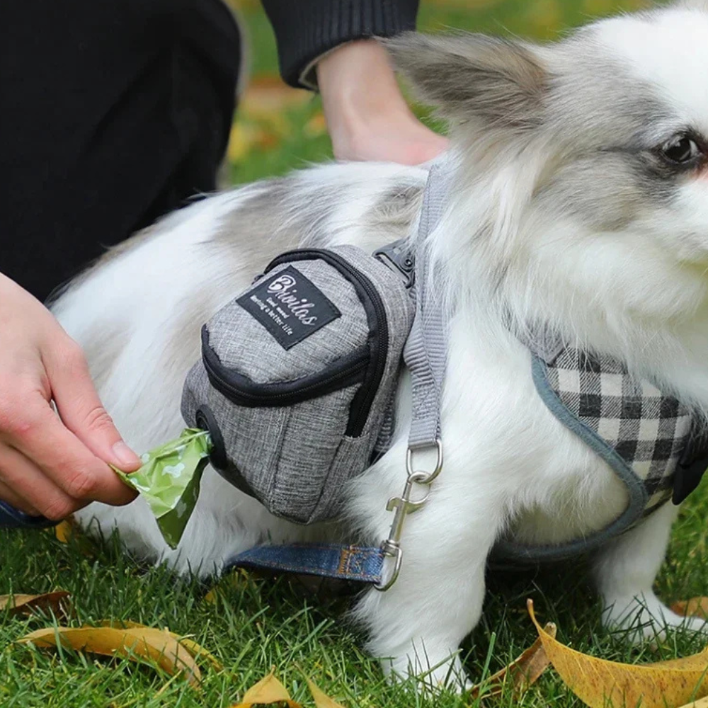 Sac de taille pour l'entraînement des animaux de compagnie en extérieur