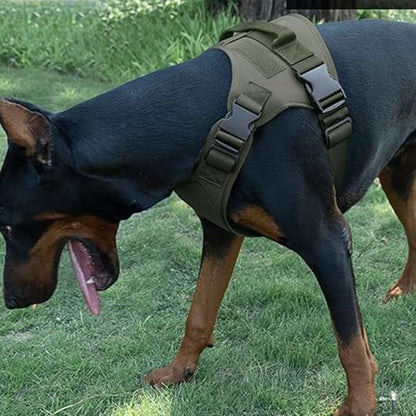 Gilet Tactique d'Entraînement pour Chiens