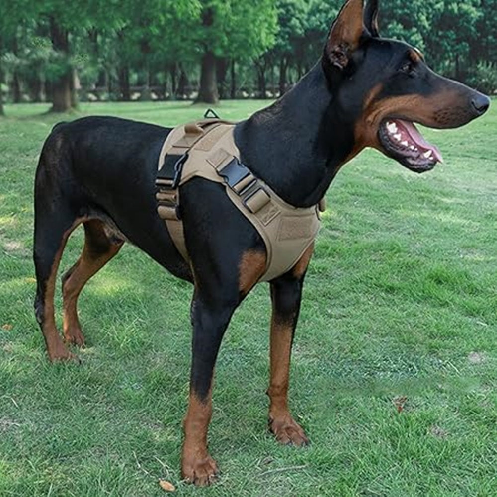 Gilet Tactique d'Entraînement pour Chiens