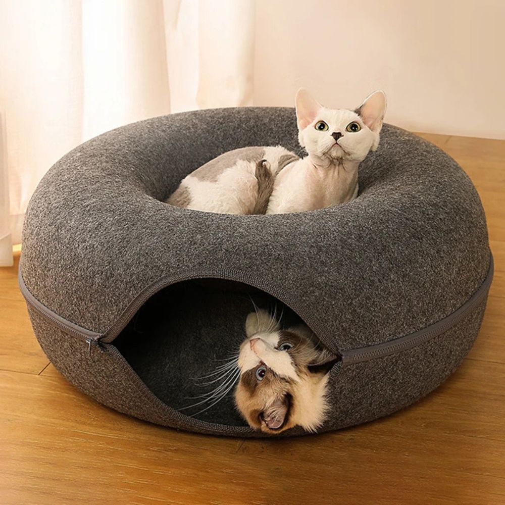 Maison pour chatons Pet Tunnel