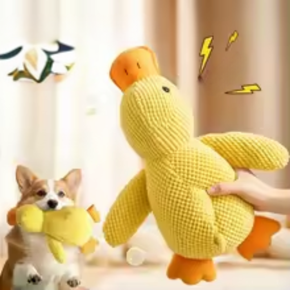Jouets en peluche Canard Calmant pour chien