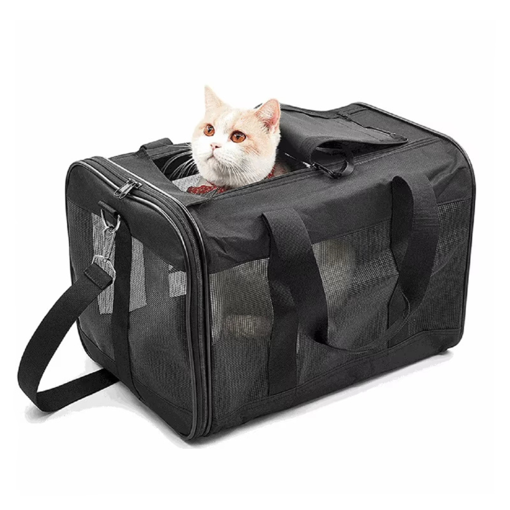 Sac de voyage compact et pliable pour chats et chiens