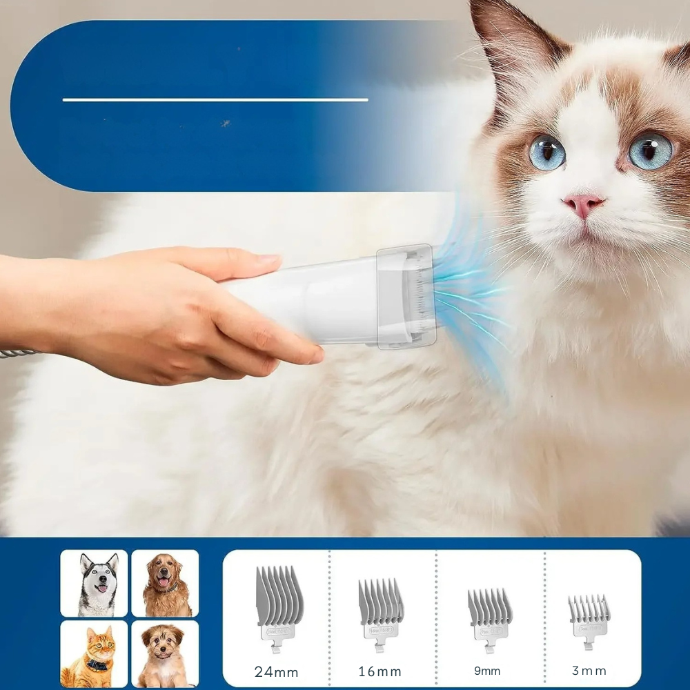Aspirateur de toilettage pour chiens