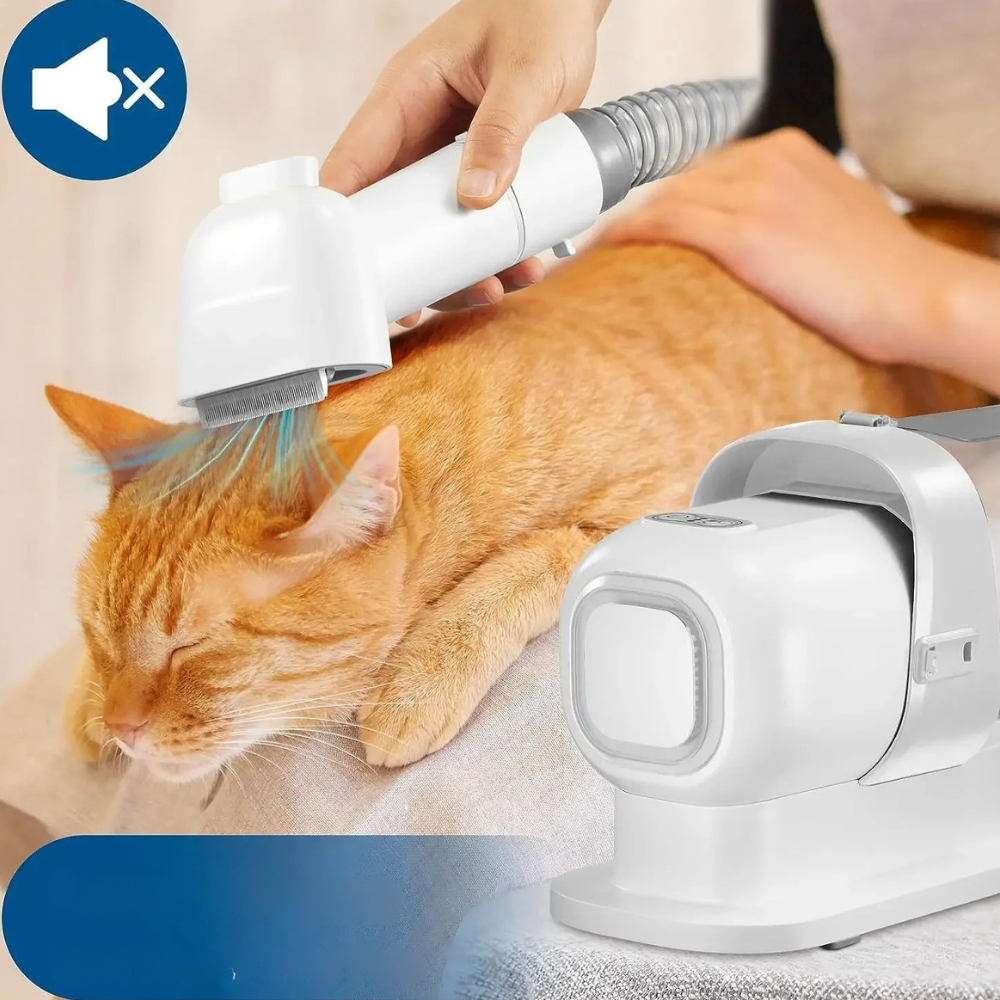 Aspirateur de toilettage pour chiens