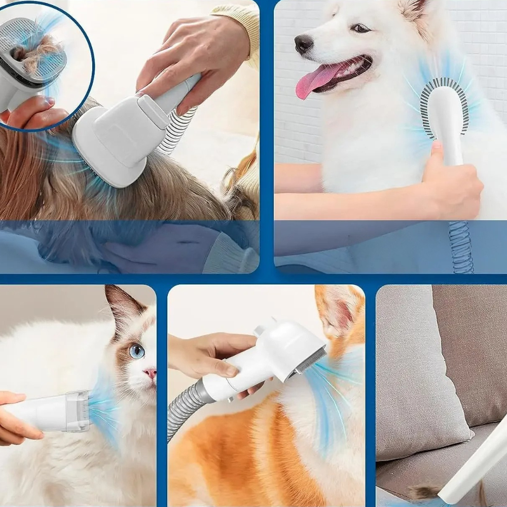 Aspirateur de toilettage pour chiens
