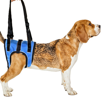 Ceinture de Soutien et d'Assistance à la Marche pour Chiens