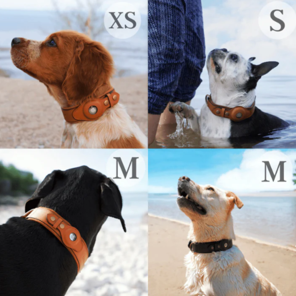 Étui AirTag en Cuir Premium pour Collier de Chien