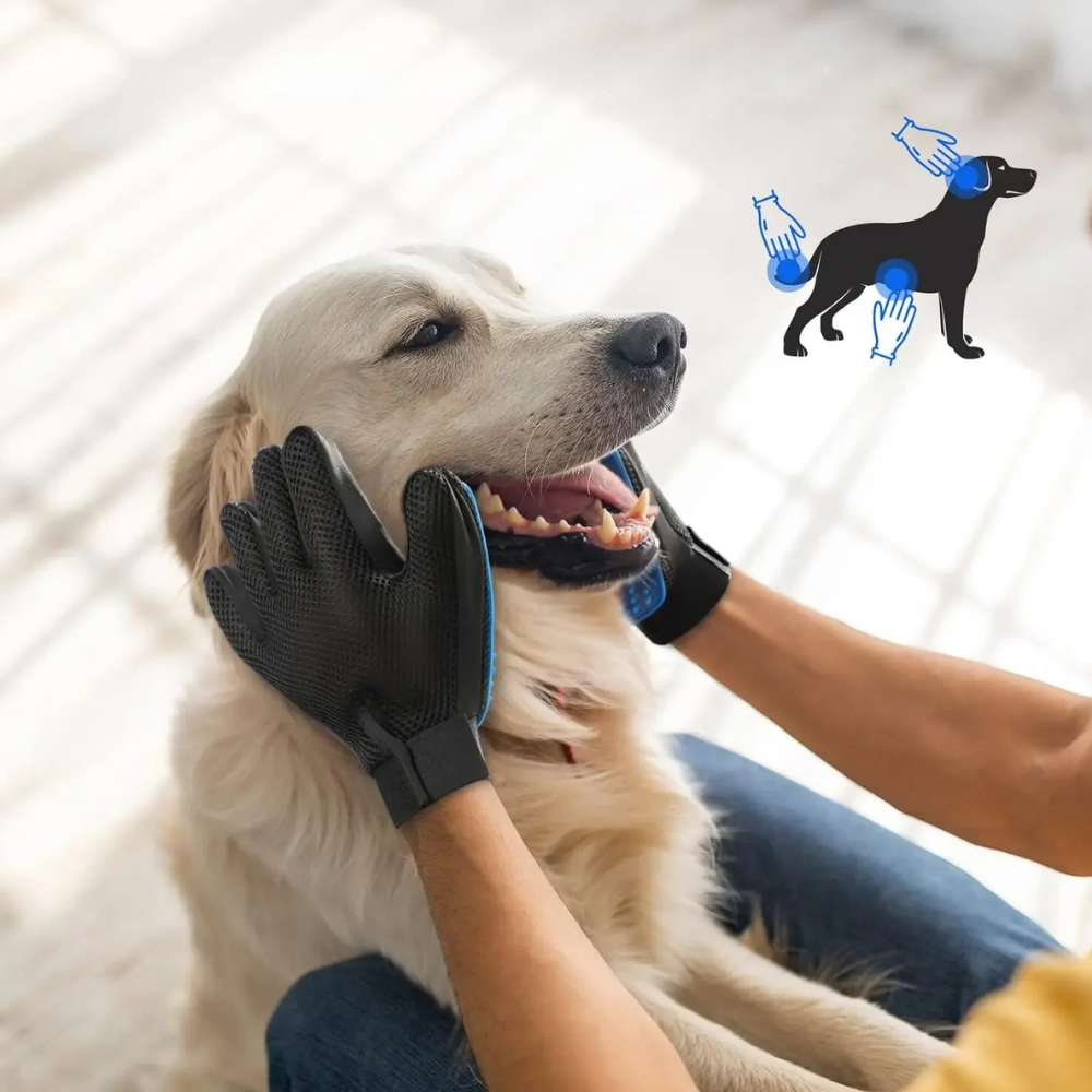 Gant Anti-Mue et Élimination des Poils