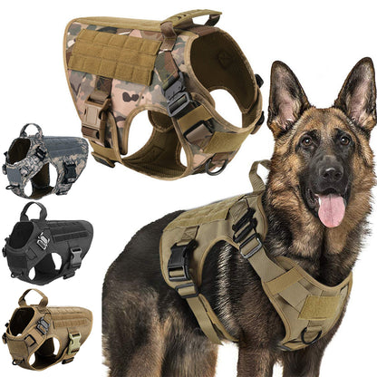 Harnais pour chiens militaires