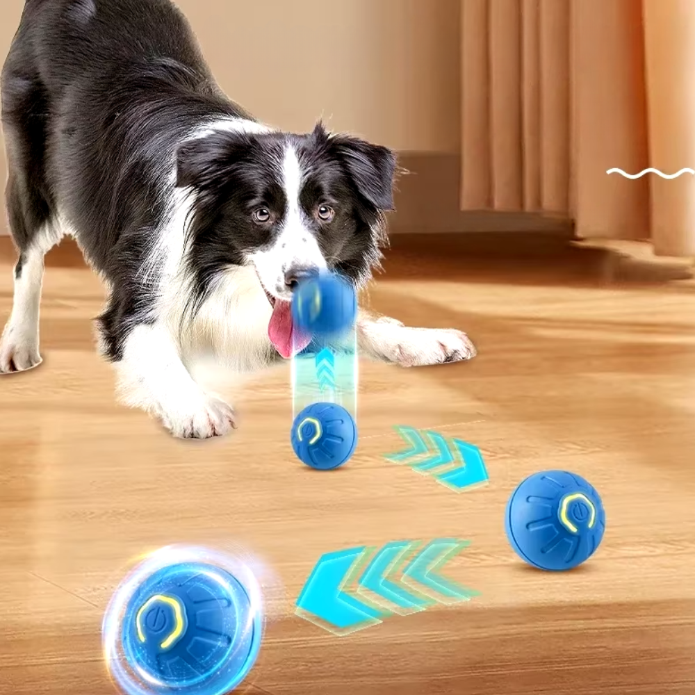 Balle Rebondissante Intelligente LED pour Chien
