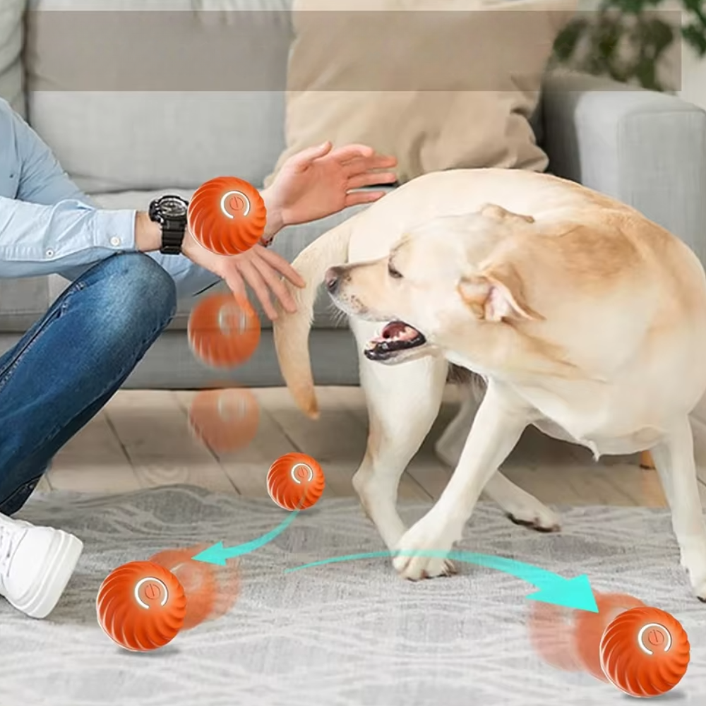 Balle Rebondissante Intelligente LED pour Chien