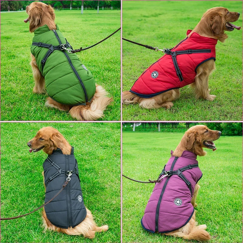 Veste chaude imperméable pour chien avec harnais