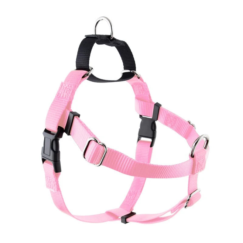 dog harness for training 