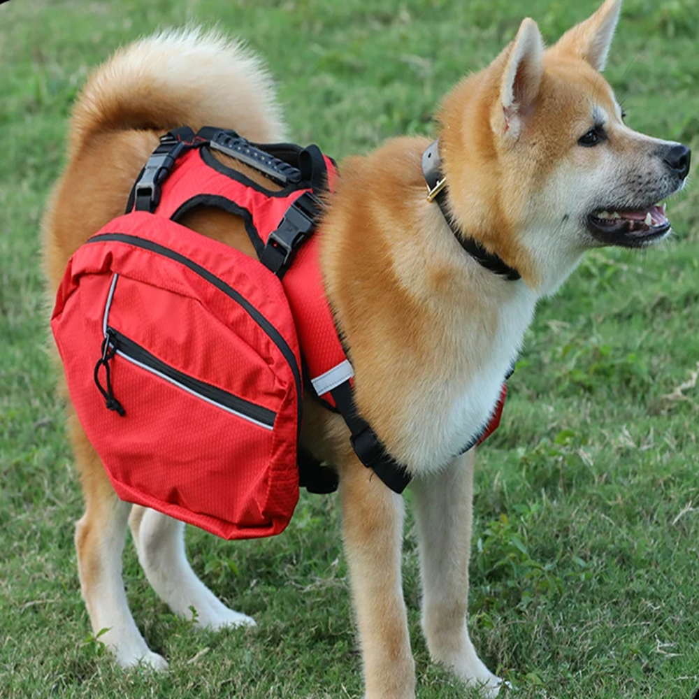 Harnais de Randonnée Multifonctionnel pour Chiens