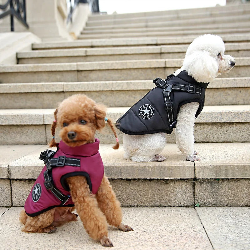 Veste chaude imperméable pour chien avec harnais