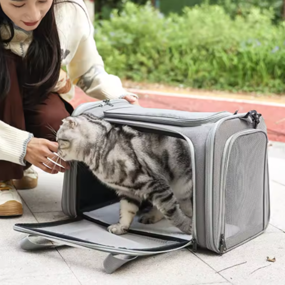 Sac de transport portable pour chien et chat