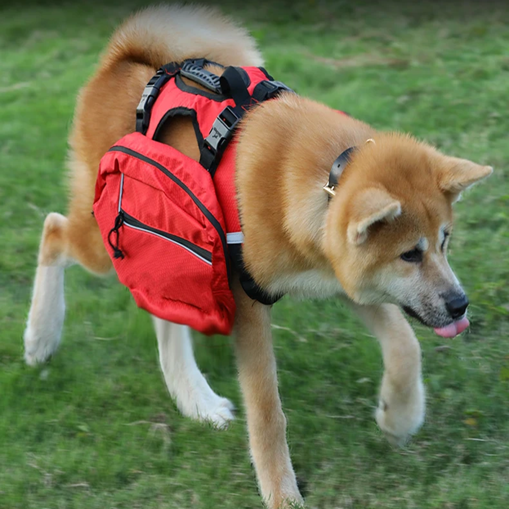 Harnais de Randonnée Multifonctionnel pour Chiens