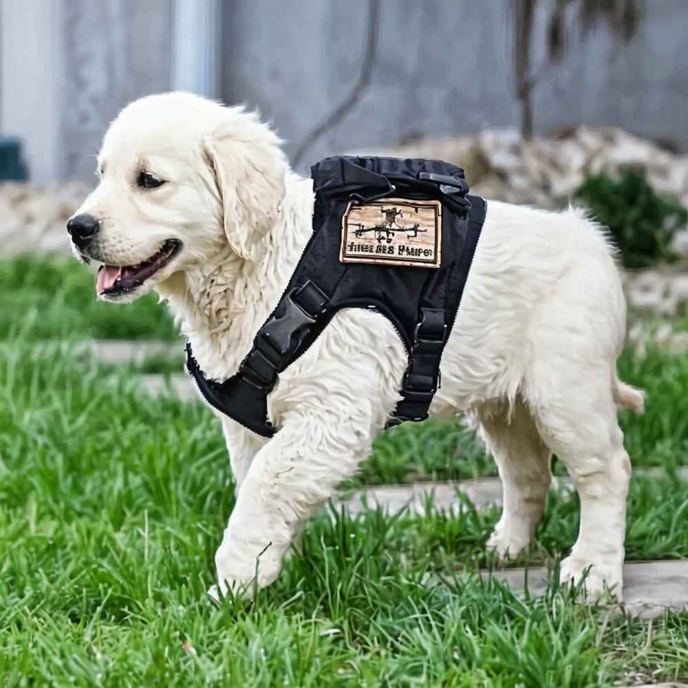 Harnais Militaire Tactique Ajustable pour Petits Chiens