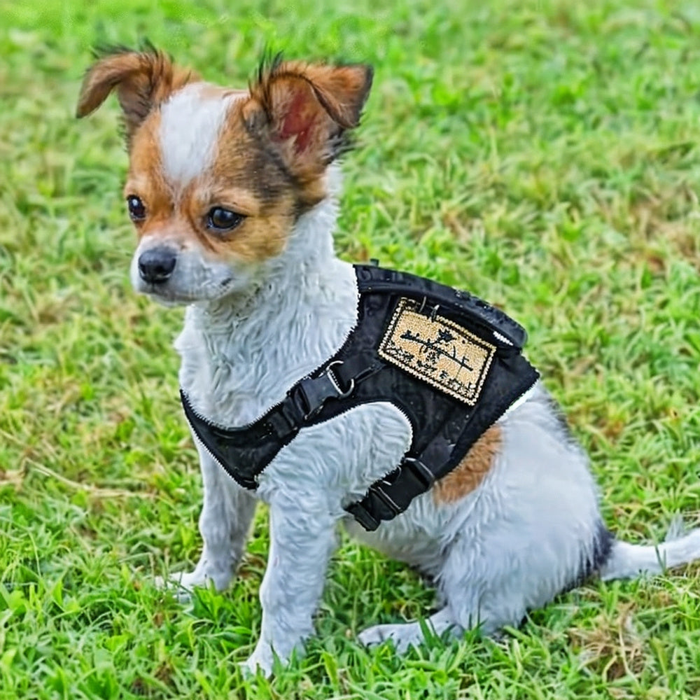 Harnais Militaire Tactique Ajustable pour Petits Chiens