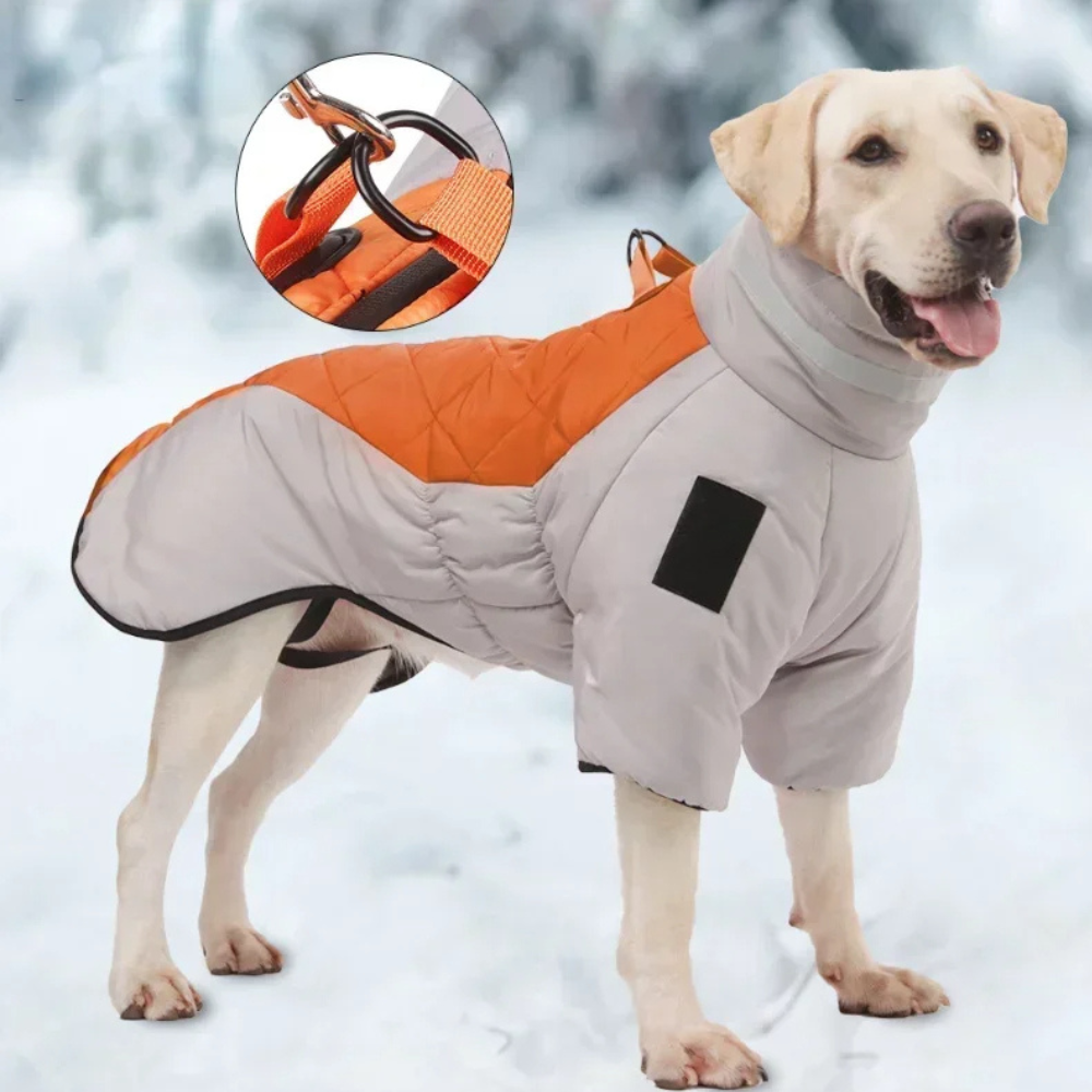Manteau Imperméable pour Chien Grand Hiver