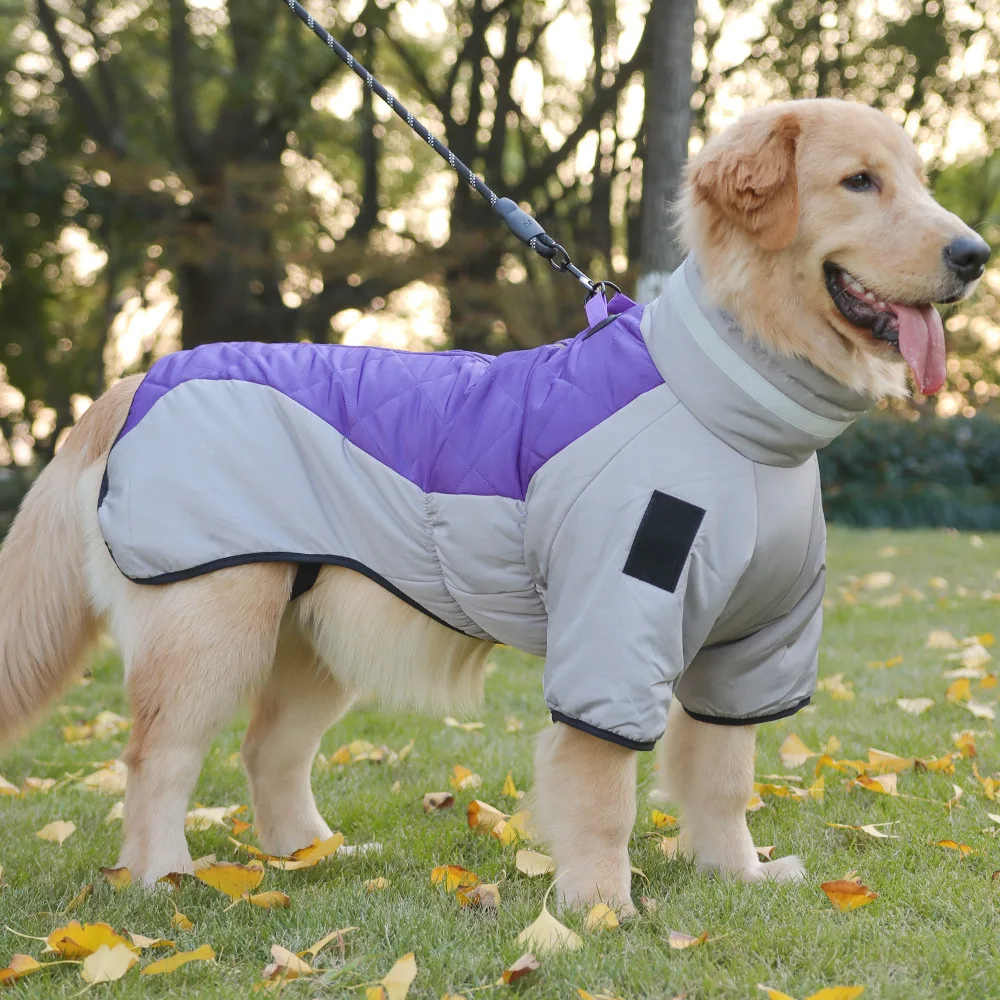 Manteau Imperméable pour Chien Grand Hiver