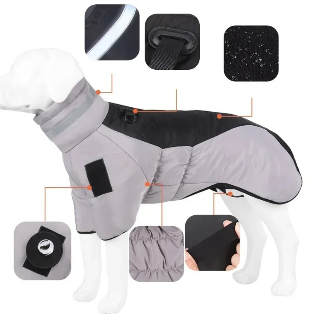Manteau Imperméable pour Chien Grand Hiver