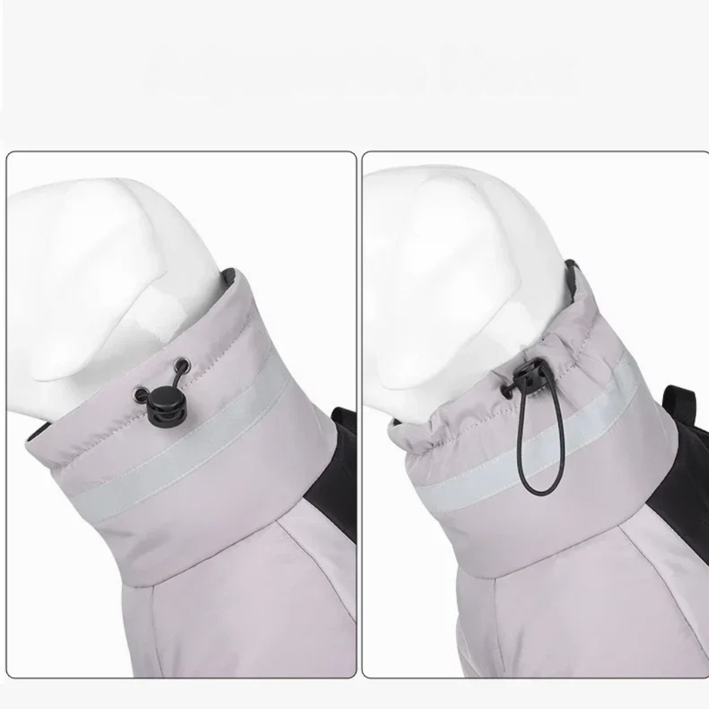 Manteau Imperméable pour Chien Grand Hiver