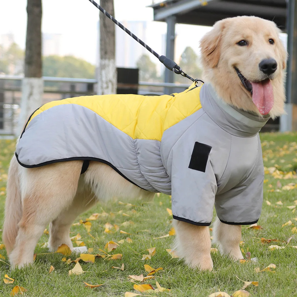 Manteau Imperméable pour Chien Grand Hiver