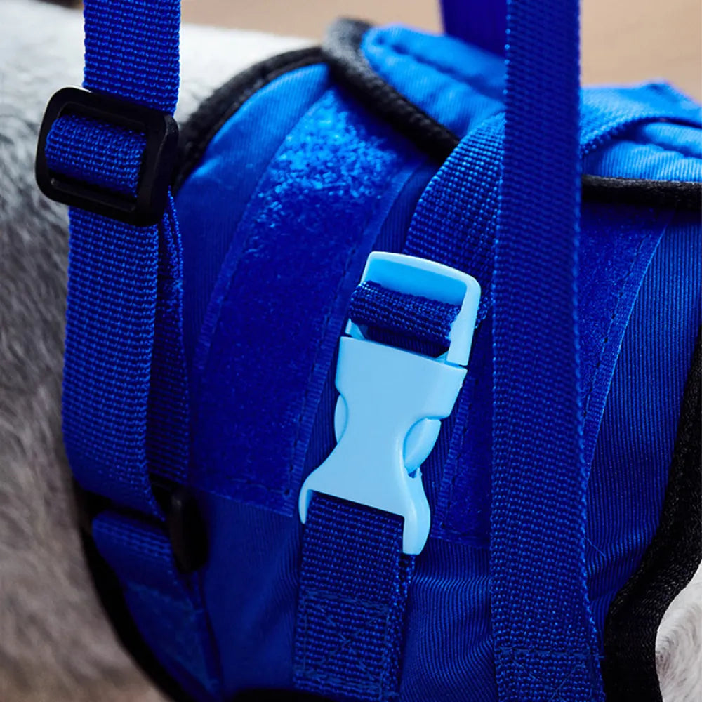 Ceinture de Soutien et d'Assistance à la Marche pour Chiens