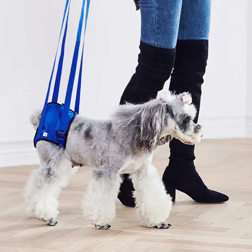 Ceinture de Soutien et d'Assistance à la Marche pour Chiens
