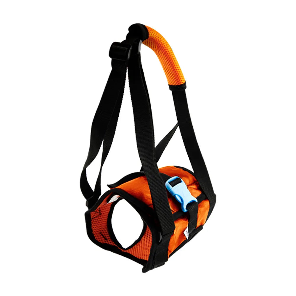 Ceinture de Soutien et d'Assistance à la Marche pour Chiens